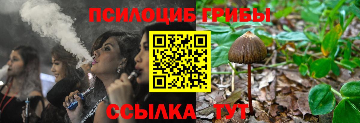 Псилоцибиновые грибы Psilocybine cubensis  Вход с VPN  Псилоцибиновые грибы GOLDEN TEACHER  Благодарный 